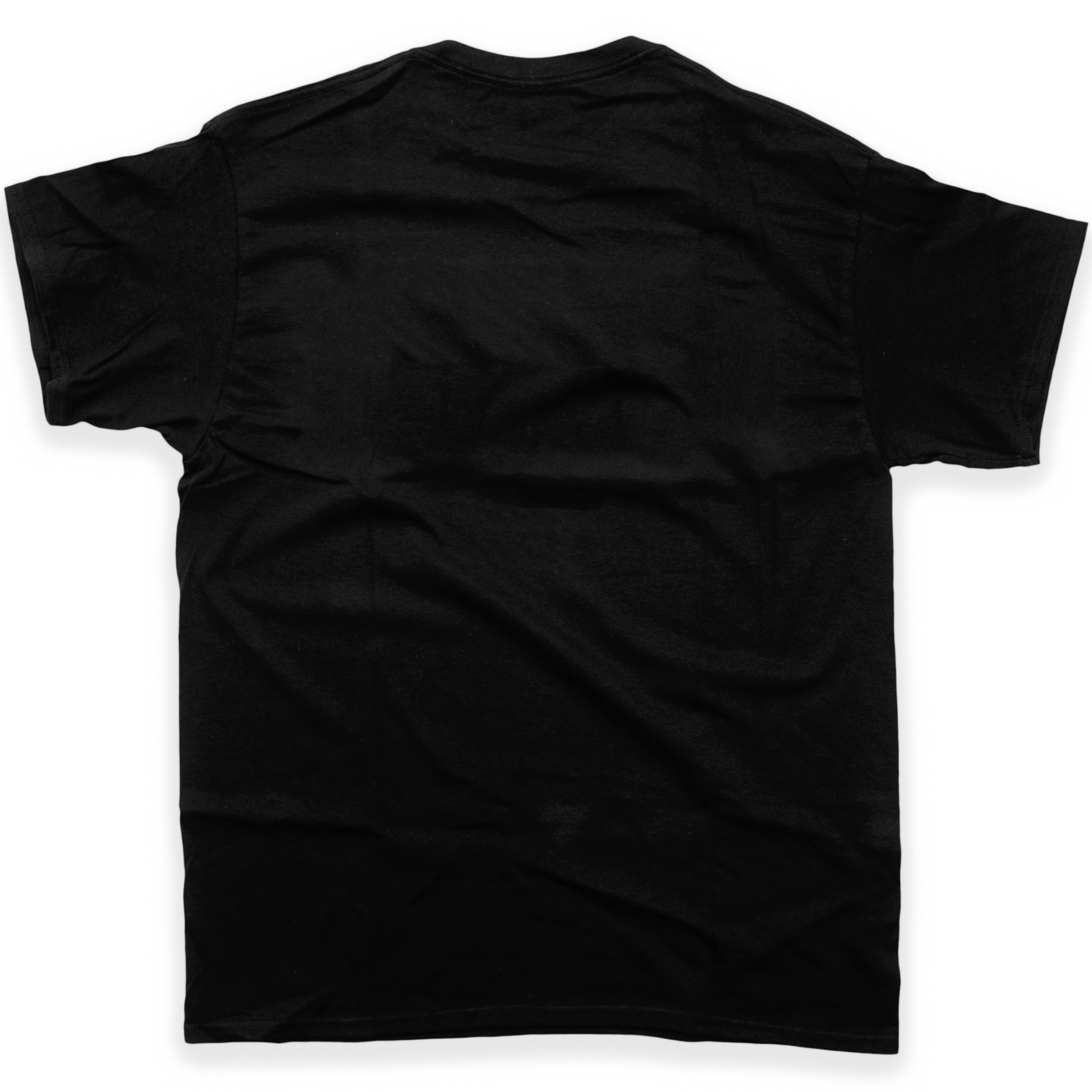 Folk • Punk • Dissident Unisex T-Shirt